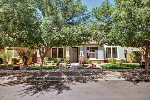 2756 E Shannon St, Gilbert, AZ 85295 photo 3