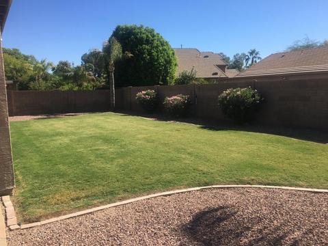 343 E Baylor Ln, Gilbert, AZ 85296 photo 39