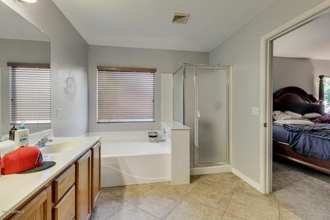 9322 E Lobo Ave, Mesa, AZ 85209 photo 23