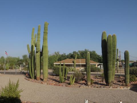 462 N Saguaro Dr, Apache Junction, AZ 85120 photo 2