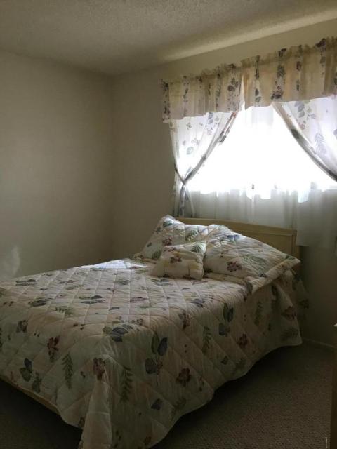 1555 S Ocotillo Dr, Apache Junction, AZ 85120 photo 10