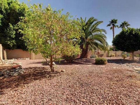 3015 E Amber Ridge Way, Phoenix, AZ 85048 photo 24