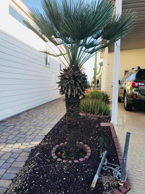 7750 E Broadway Rd #800, Mesa, AZ 85208 photo 8