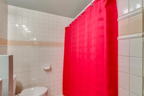 719 E Kino Dr, Mesa, AZ 85203 photo 19