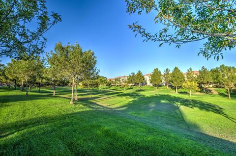 3868 E Sabra Ln, Gilbert, AZ 85296 photo 57