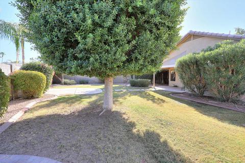 2144 E Catclaw St, Gilbert, AZ 85296 photo 35