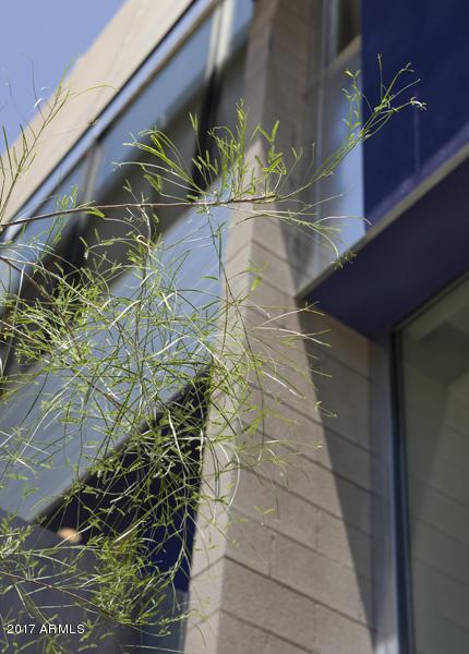 1145 E Whitton Ave #1008, Phoenix, AZ 85014 photo 49