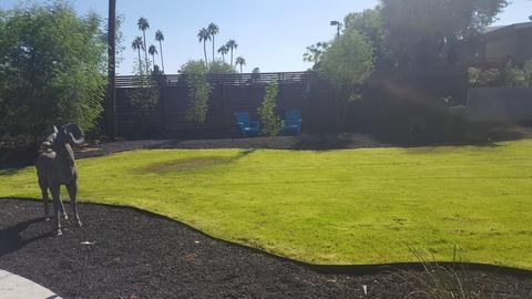 1035 E Cavalier Dr, Phoenix, AZ 85014 photo 15