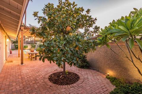 203 W Harmont Dr, Phoenix, AZ 85021 photo 42