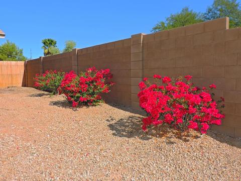 2926 E Michigan Ave, Phoenix, AZ 85032 photo 23