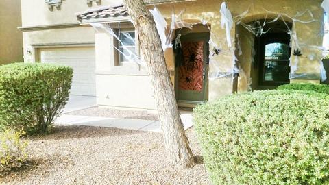 1190 E Boston St, Gilbert, AZ 85295 photo 7