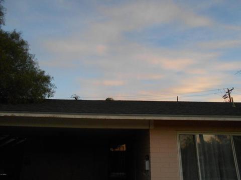 1948 E 5th Ave, Mesa, AZ 85204 photo 30