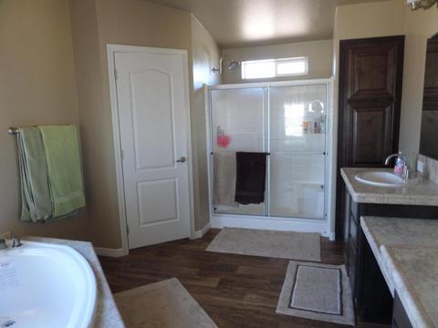 155 S Colt Rd, Apache Junction, AZ 85119 photo 15