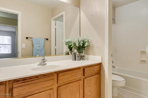 11513 E Peterson Ave, Mesa, AZ 85212 photo 29