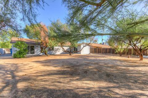 3711 E Gelding Dr, Phoenix, AZ 85032 photo 4