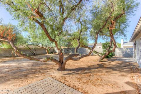 3711 E Gelding Dr, Phoenix, AZ 85032 photo 6