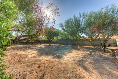 3711 E Gelding Dr, Phoenix, AZ 85032 photo 7