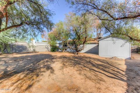 3711 E Gelding Dr, Phoenix, AZ 85032 photo 5