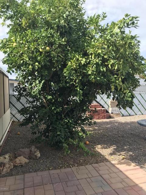 6064 E Des Moines St, Mesa, AZ 85205 photo 33