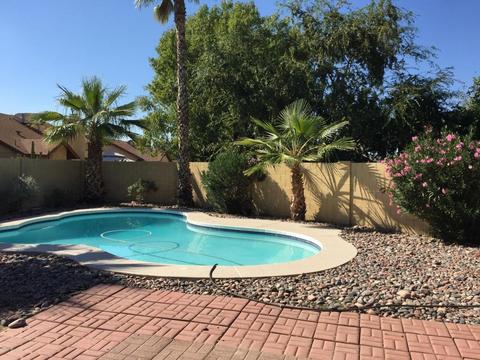 3817 Everett Dr, Phoenix, AZ 85032 photo 3
