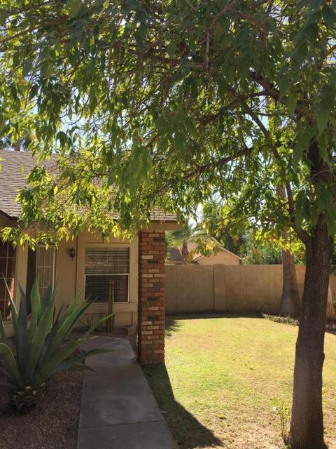 3817 Everett Dr, Phoenix, AZ 85032 photo 6