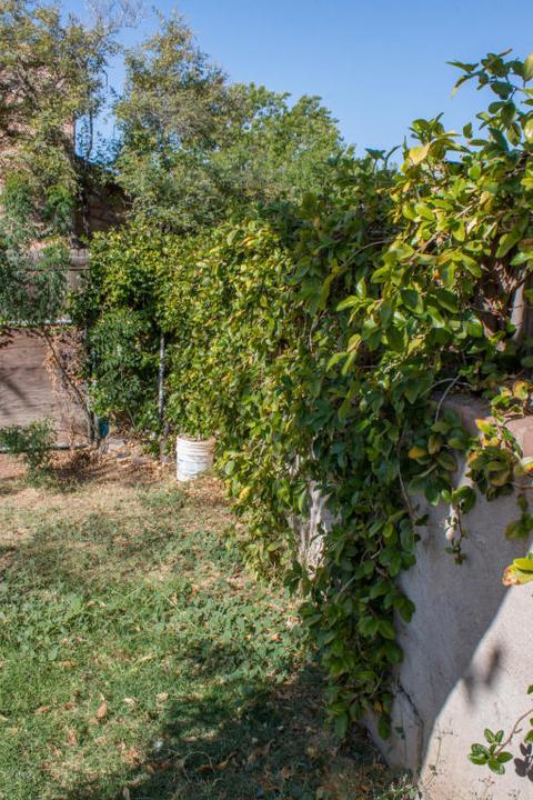 1625 E Campbell Ave, Phoenix, AZ 85016 photo 19