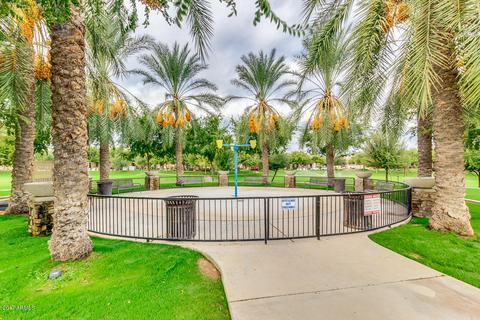 3320 E Orchid Ln, Gilbert, AZ 85296 photo 43