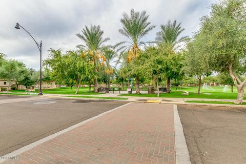 3320 E Orchid Ln, Gilbert, AZ 85296 photo 44