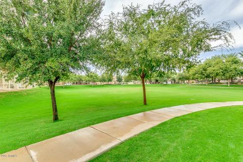 3320 E Orchid Ln, Gilbert, AZ 85296 photo 45