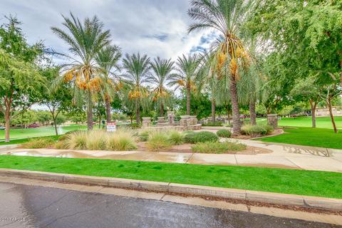 3320 E Orchid Ln, Gilbert, AZ 85296 photo 47