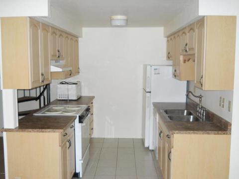 1440 N Idaho Rd #2049, Apache Junction, AZ 85119 photo 6