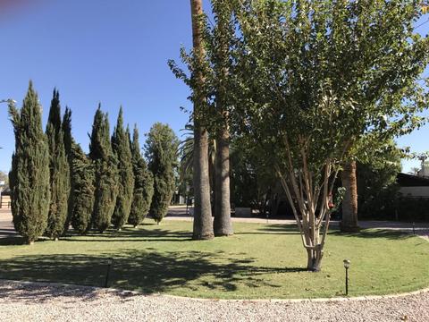 1247 E Colter St, Phoenix, AZ 85014 photo 3