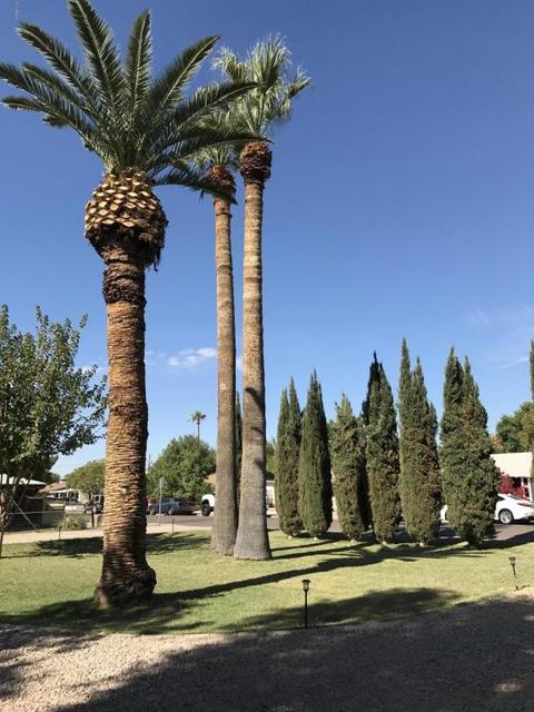 1247 E Colter St, Phoenix, AZ 85014 photo 4