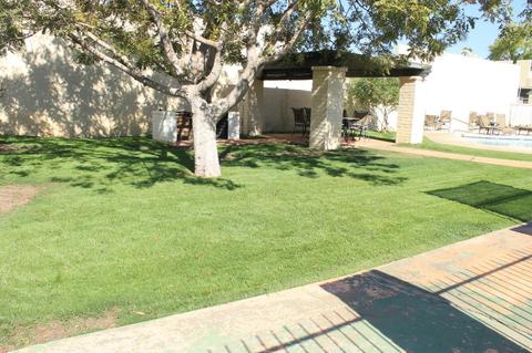 2215 E Catalina Dr, Phoenix, AZ 85016 photo 21