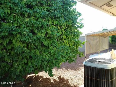 7959 E Navarro Ave, Mesa, AZ 85209 photo 42