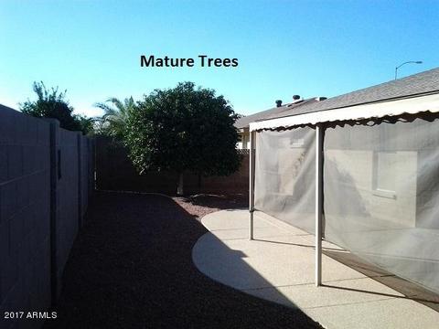 7959 E Navarro Ave, Mesa, AZ 85209 photo 41