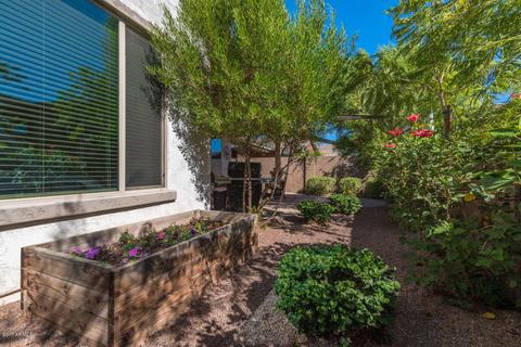3413 E Strawberry Dr, Gilbert, AZ 85298 photo 30