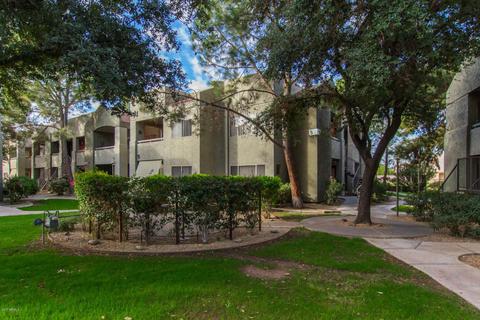 1295 N Ash St #518, Gilbert, AZ 85233 photo 1