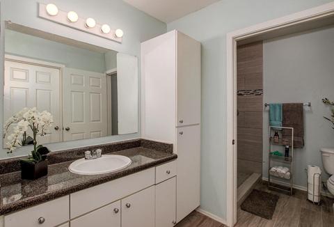 1295 N Ash St #518, Gilbert, AZ 85233 photo 13