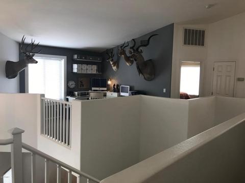 2970 E Sherri Ct, Gilbert, AZ 85296 photo 15