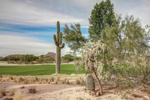 6658 E Sugarloaf St, Mesa, AZ 85215 photo 36