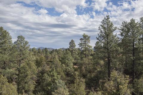 187 E Saddleback Trl, Payson, AZ 85541 photo 21