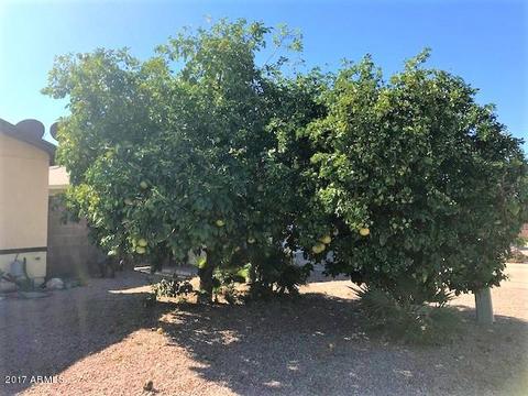763 W 5th Ave, Apache Junction, AZ 85120 photo 11
