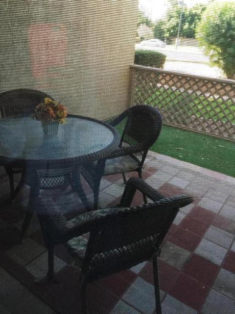 1633 E Lakeside Dr #54, Gilbert, AZ 85234 photo 21