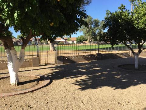 7448 Ed Rice Ave, Mesa, AZ 85208 photo 13