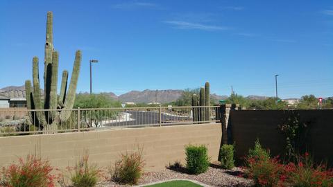 10744 Ellis St, Mesa, AZ 85207 photo 3