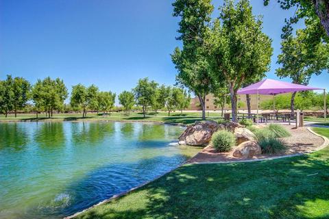 3928 S Rim Rd, Gilbert, AZ 85297 photo 74
