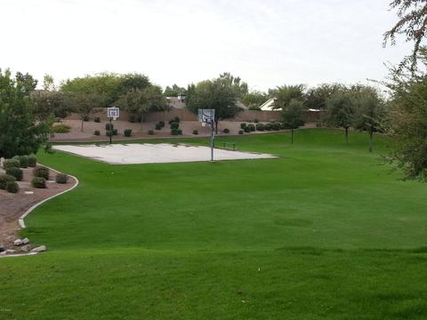 7138 E Grandview St, Mesa, AZ 85207 photo 37