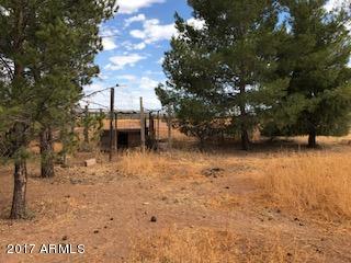 3113 W Oak Ave, Douglas, AZ 85607 photo 14