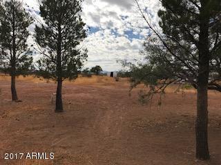 3113 W Oak Ave, Douglas, AZ 85607 photo 13